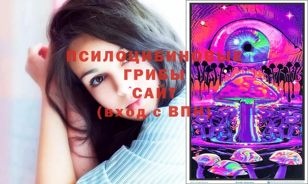 mdpv Верхний Тагил