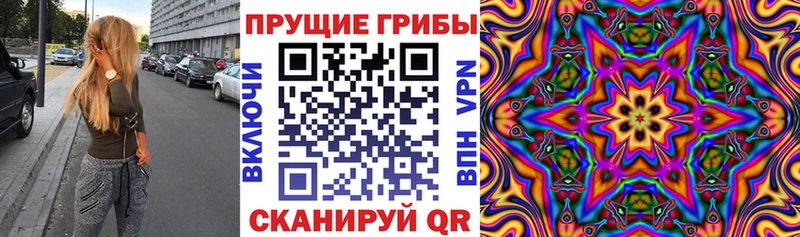 купить наркотики сайты  Энем  Псилоцибиновые грибы Magic Shrooms 