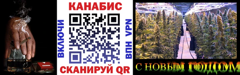 Шишки марихуана план  Энем 